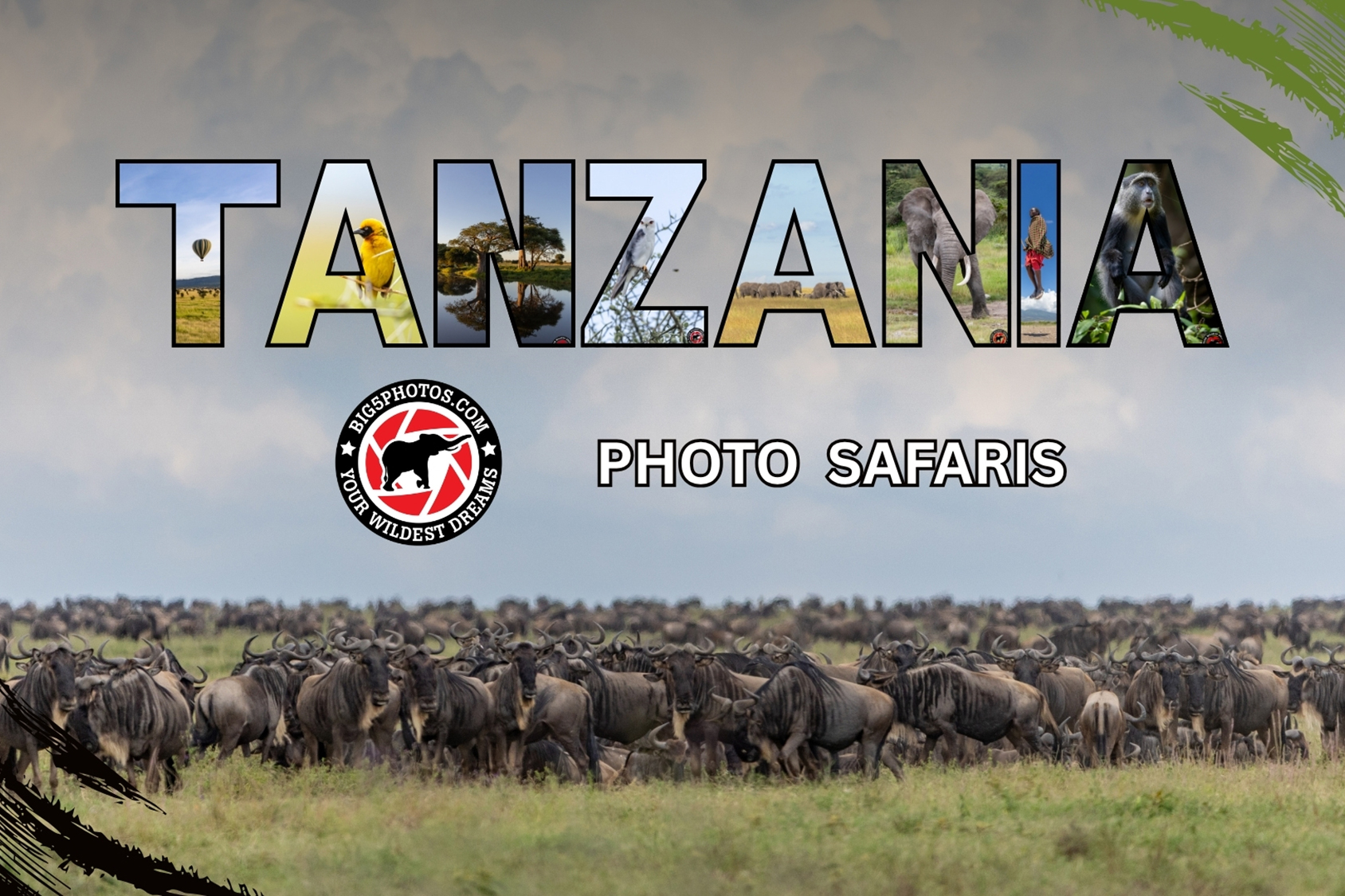 Tanzania Photo Safaris.jpg